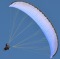 Paraglining