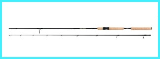 SHIMANO BEASTMASTER EX SPINNING 240 M 10-30g